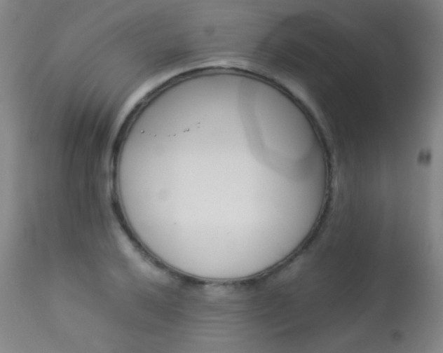 X0000113911032200909241301