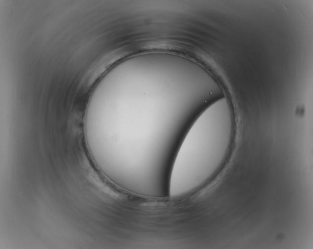 X0000113911033200909241301