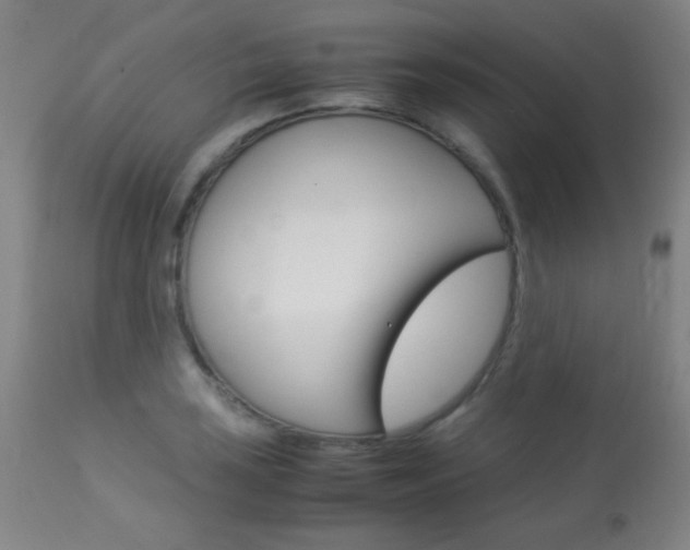 X0000113911035200909241301