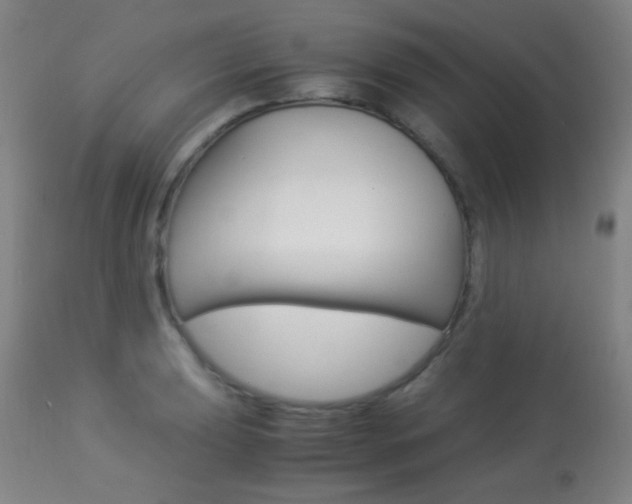 X0000113911039200909241301