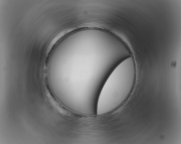 X0000113911040200909241301