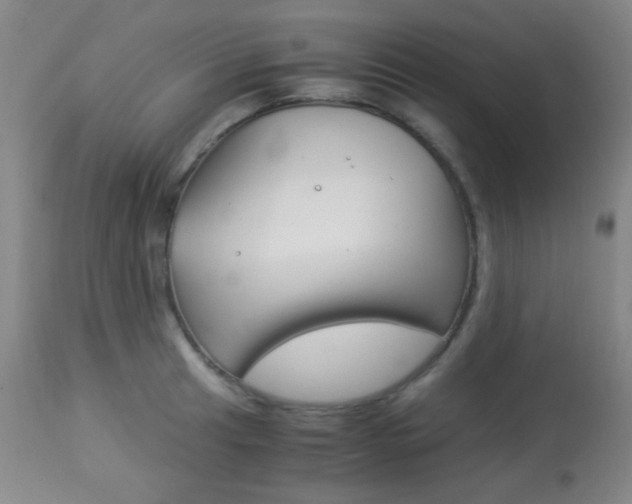 X0000113911041200909241301
