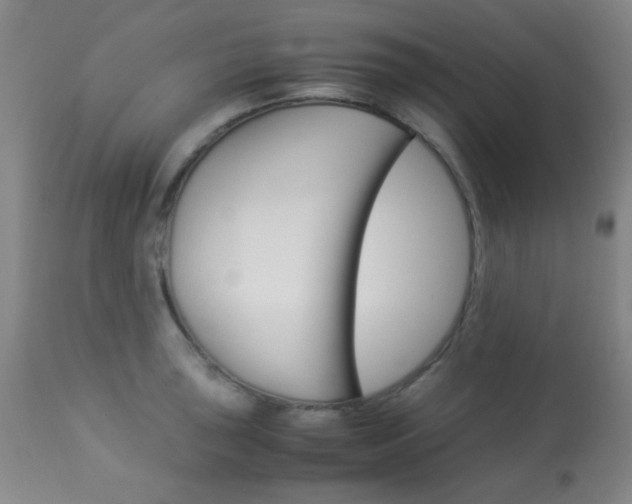 X0000113911043200909241301