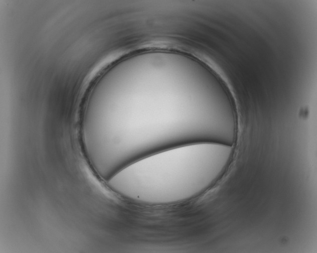 X0000113911045200909241301