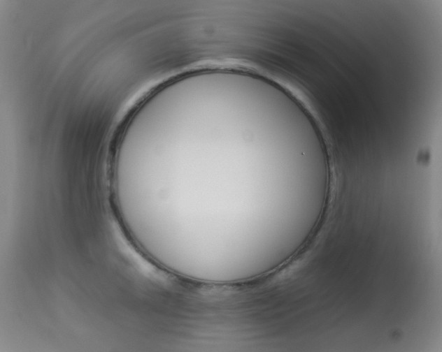 X0000113911046200909241301