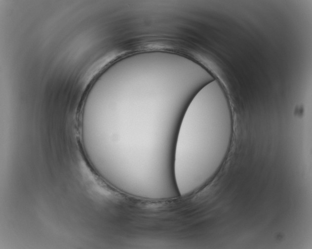 X0000113911047200909241301