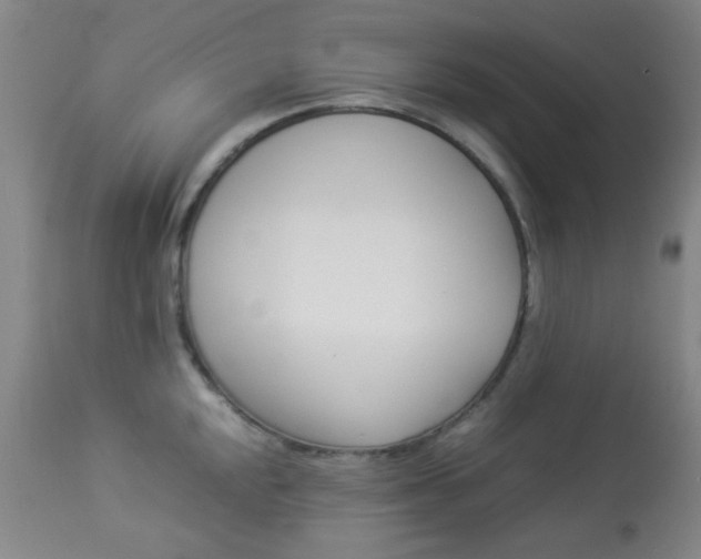 X0000113911048200909241301