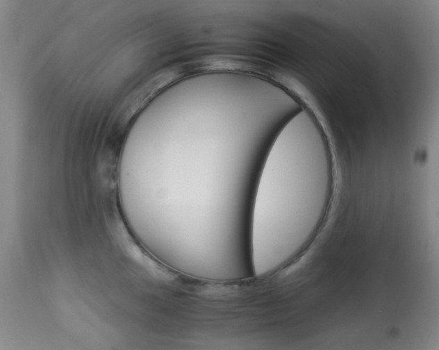 X0000113911049200909241301
