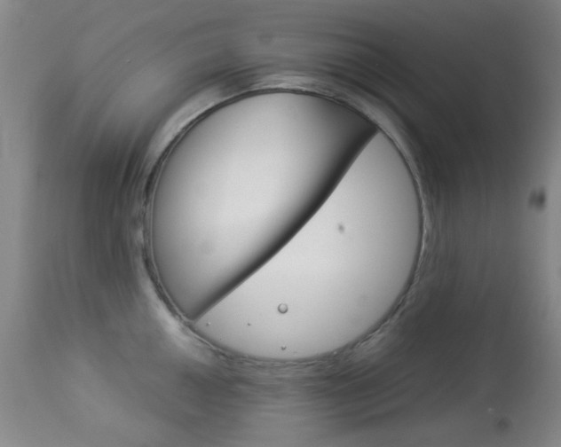 X0000113911050200909241301