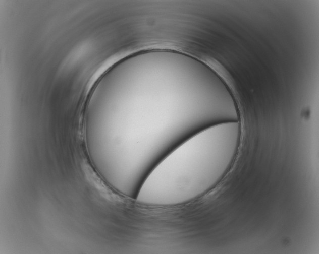 X0000113911052200909241301