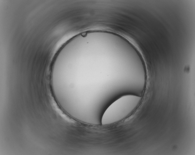 X0000113911053200909241301