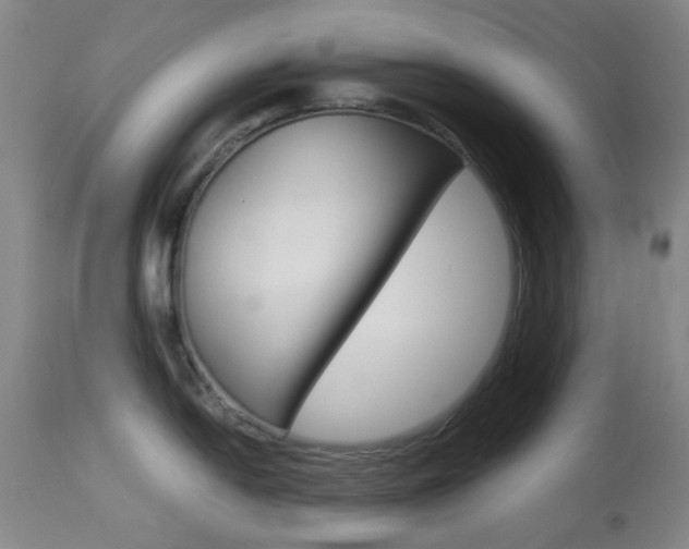 X0000113911054200909241301