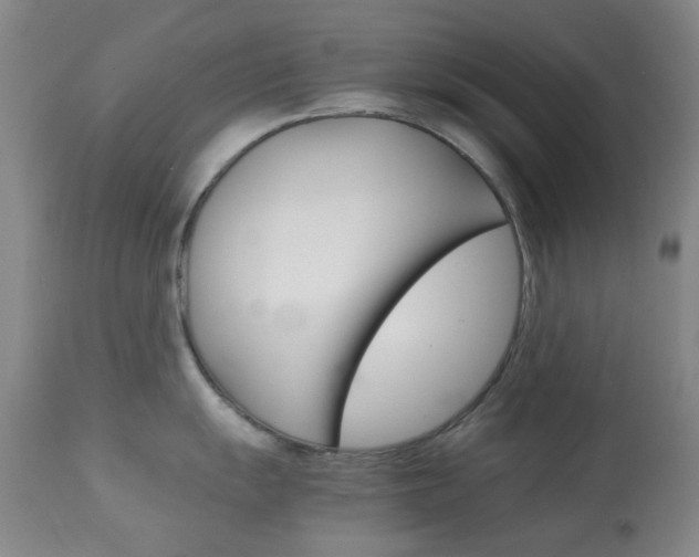 X0000113911055200909241301