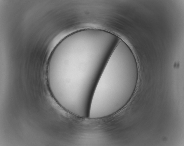 X0000113911056200909241301