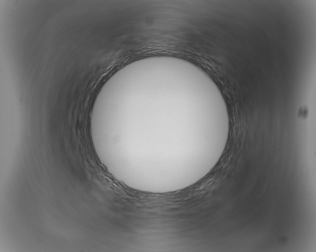 X0000113911057200909241300