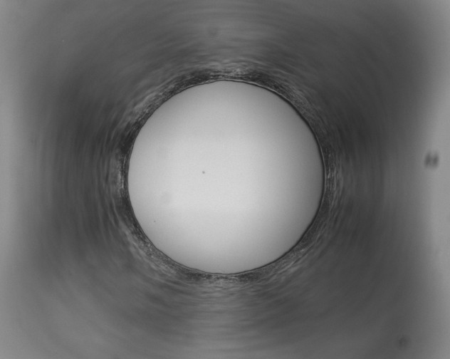 X0000113911058200909241300