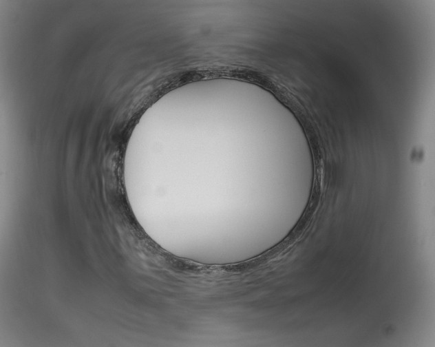 X0000113911059200909241300