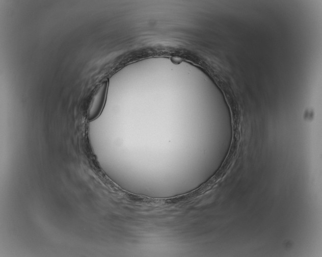 X0000113911061200909241300