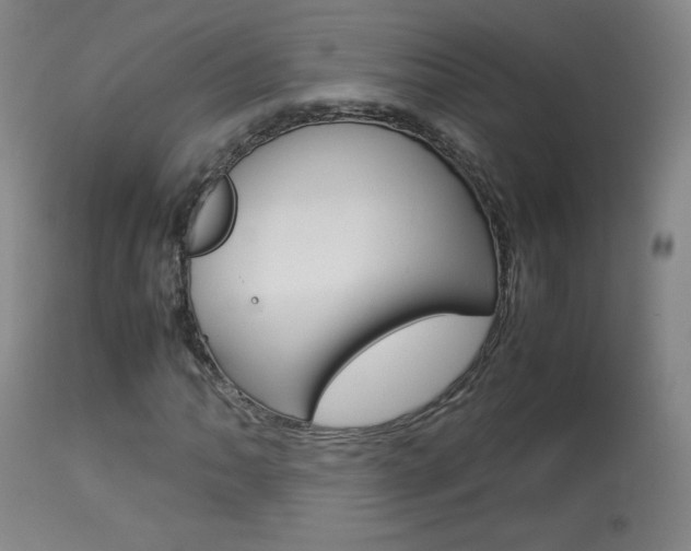 X0000113911062200909241300