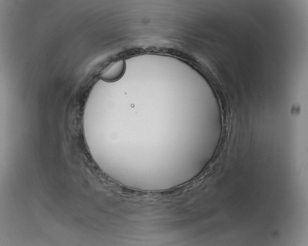 X0000113911063200909241300