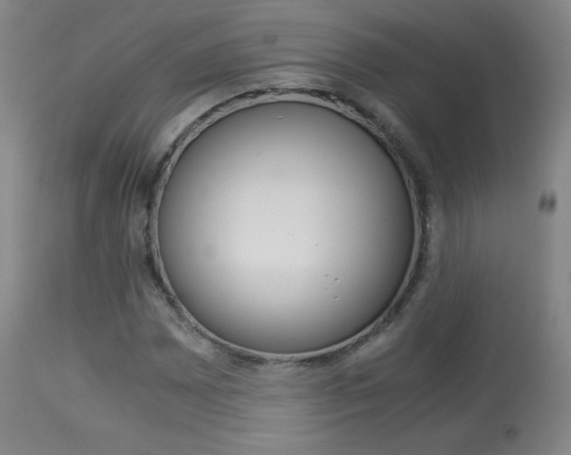 X0000113911065200909241300