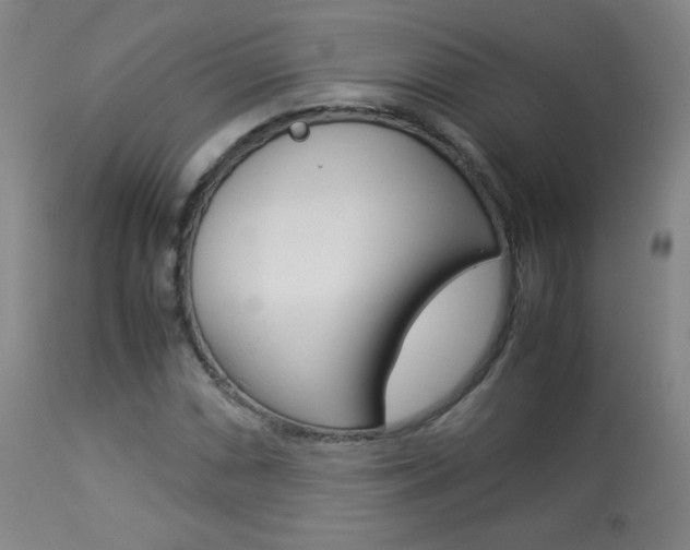 X0000113911066200909241300