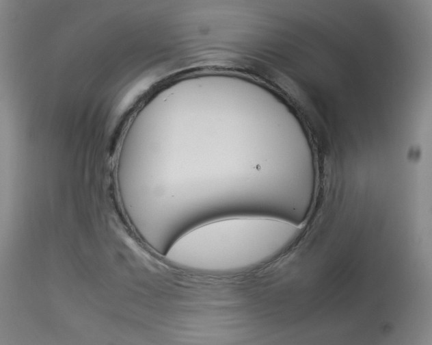 X0000113911067200909241300