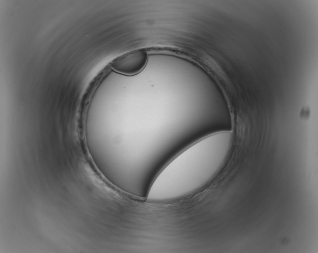 X0000113911068200909241259
