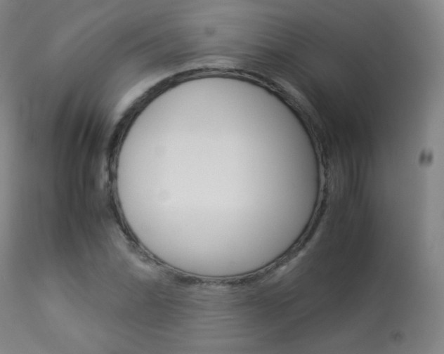 X0000113911070200909241259