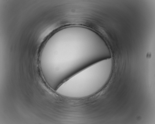 X0000113911071200909241259
