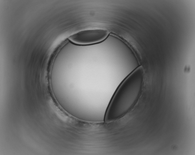 X0000113911072200909241259