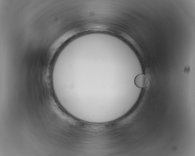 X0000113911074200909241259