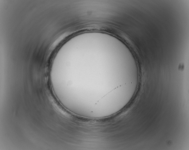 X0000113911075200909241259