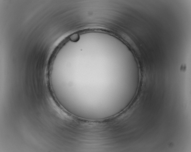 X0000113911076200909241259