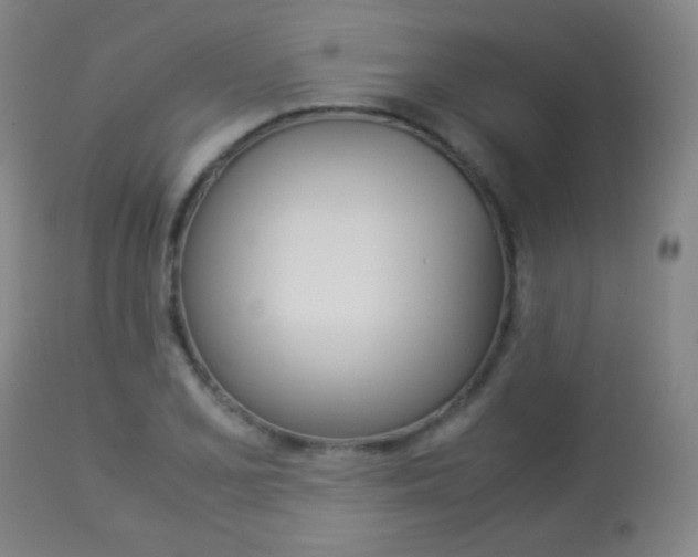 X0000113911077200909241259