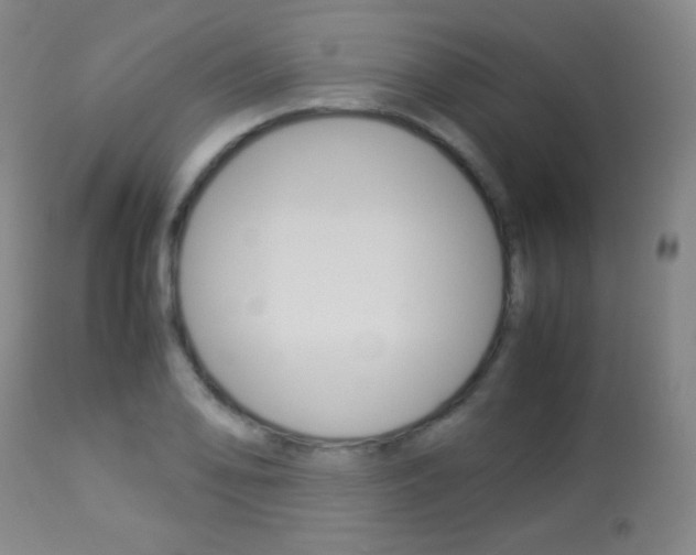 X0000113911078200909241259