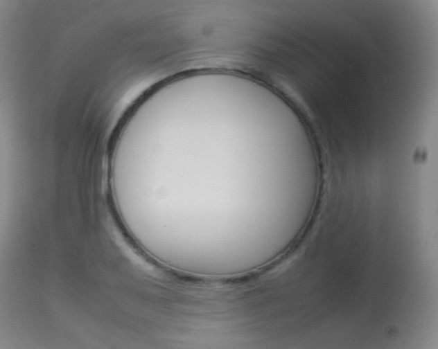 X0000113911079200909241259