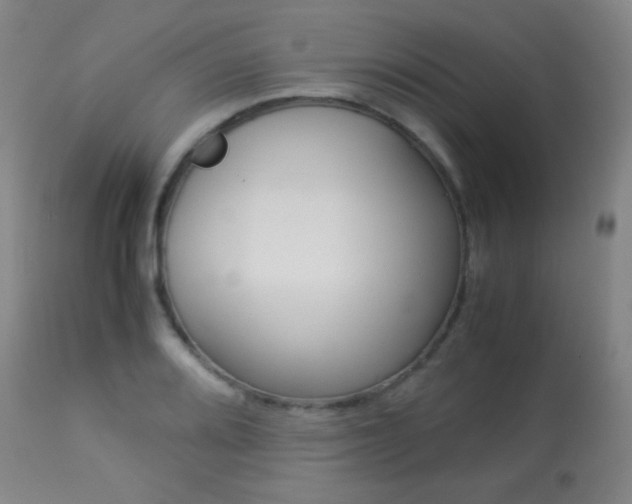 X0000113911080200909241259