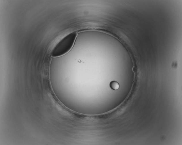 X0000113911081200909241259