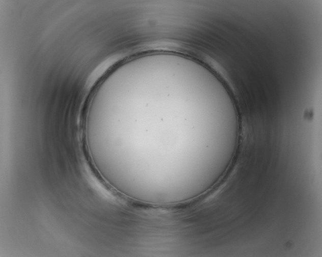 X0000113911082200909241259