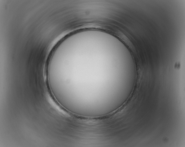 X0000113911084200909241259