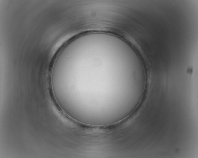 X0000113911085200909241259