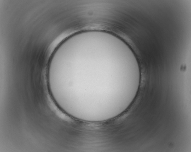 X0000113911086200909241259