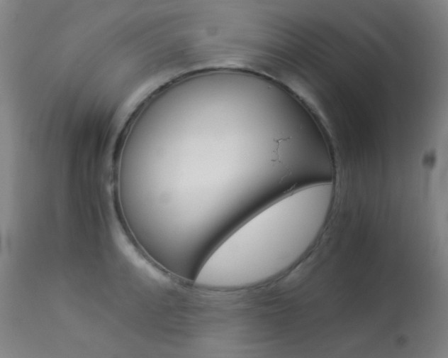 X0000113911088200909241259