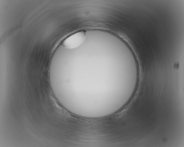 X0000113911089200909241259