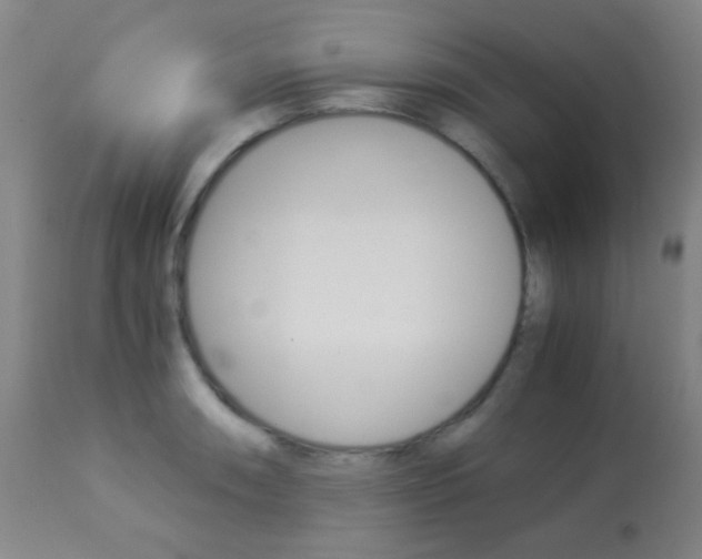 X0000113911090200909241259