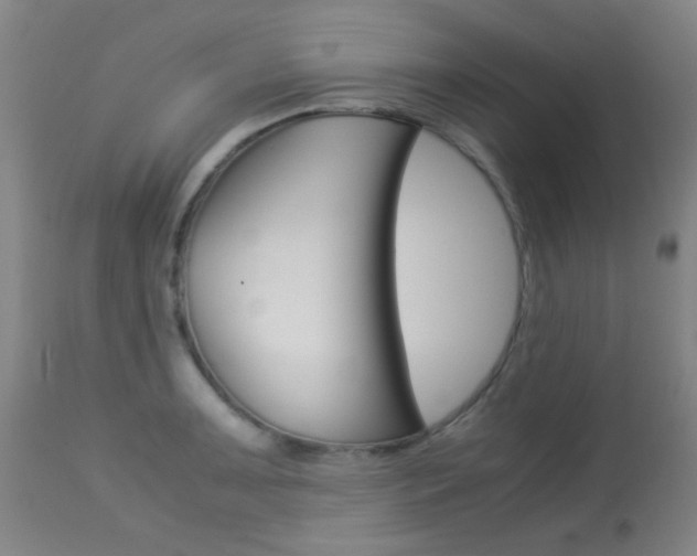 X0000113911091200909241259