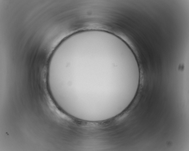 X0000113911094200909241259