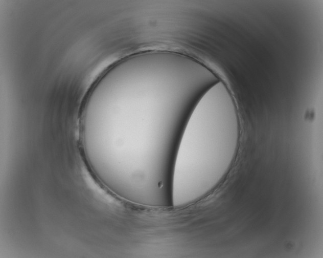 X0000113911095200909241259