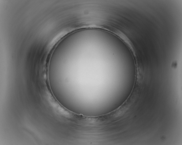 X0000113911096200909241259